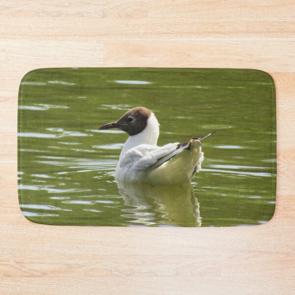 Item preview, Black headed gull. designed and sold by joshuarainbird.