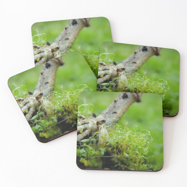 Item preview, Corn plant designed and sold by patronicc.