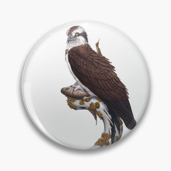 Item preview, Osprey designed and sold by JadaFitch.