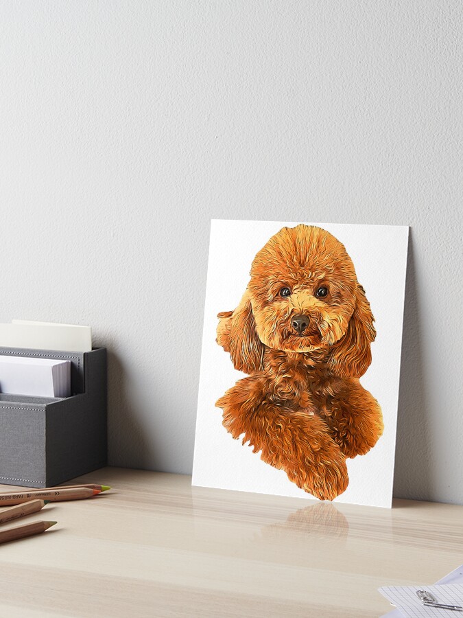 Toy Poodle Dog with puppies available as Framed Prints, Photos, Wall Art  and Photo Gifts