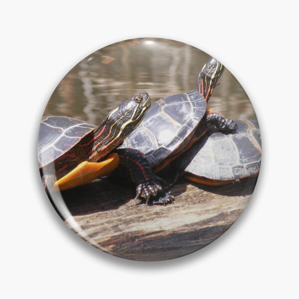 Item preview, Pond Turtles designed and sold by imphavok.