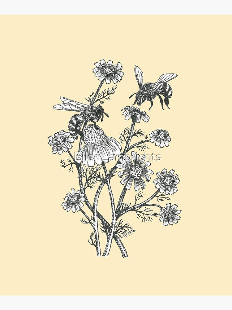bees and chamomile on honey background by EllenLambrichts