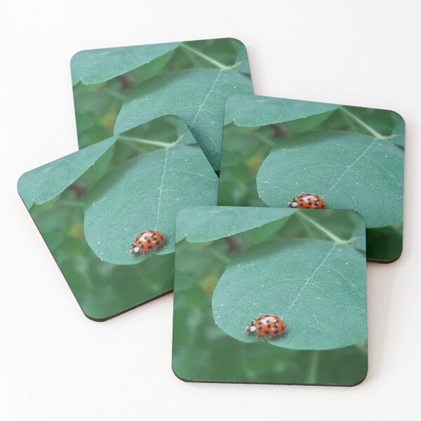 Item preview, Ladybug on a leaf designed and sold by Deni-Denise.