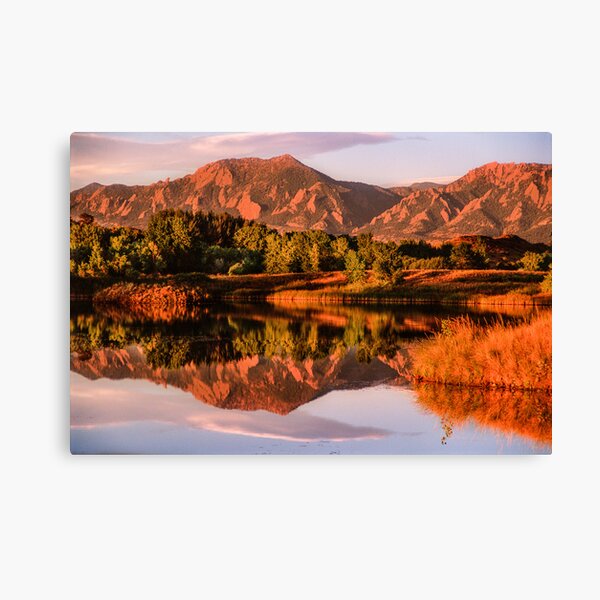 Reflections Canvas Print