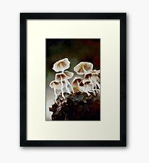Rising Framed Print