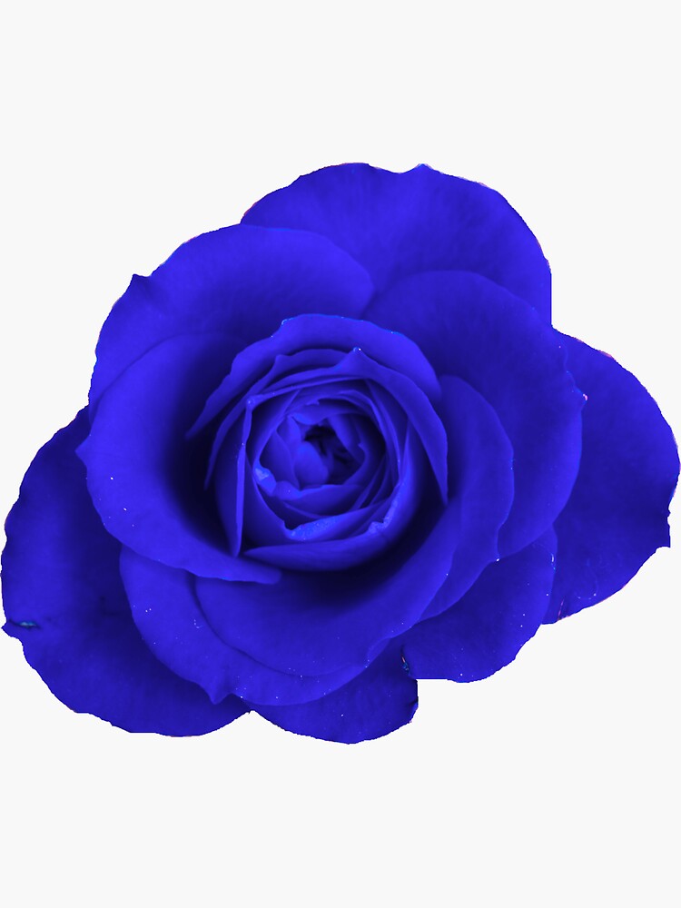 "Blue Rose Twin Peaks Fire Walk with Me" Sticker for Sale by