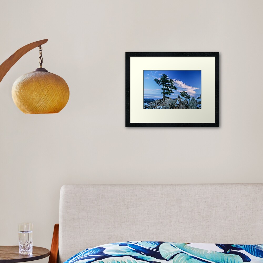 Item preview, Framed Art Print designed and sold by nikongreg.