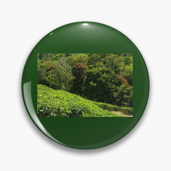 Artikelvorschau, SSK 9218 Geheimnis von Munnar. Farbe entworfen und verkauft von Sunil Kapadia.