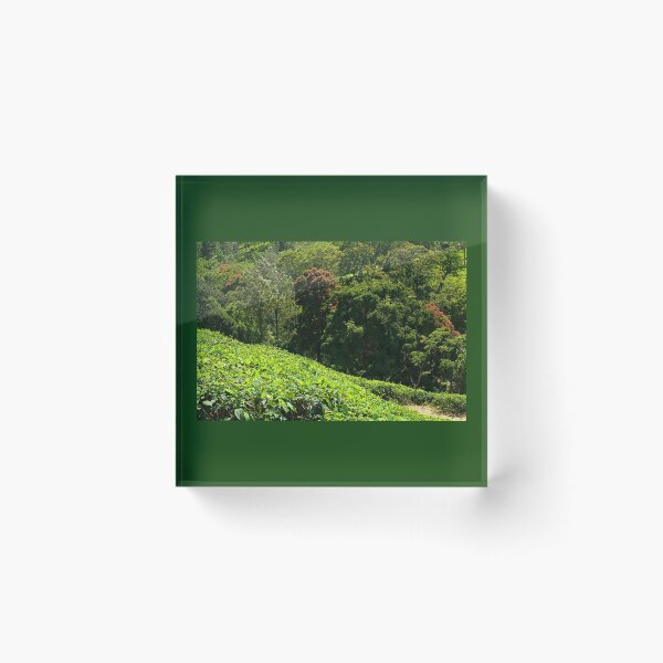 Item preview, SSK 9218 Mystery of Munnar. Color designed and sold by Sunil Kapadia.
