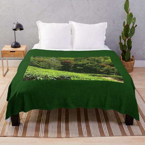 Item preview, SSK 9218 Mystery of Munnar. Color designed and sold by Sunil Kapadia.