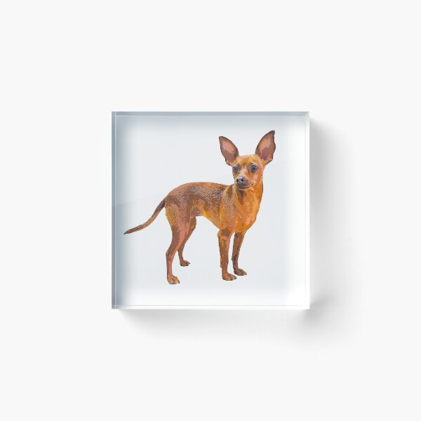 Item preview, Miniature Pinscher Red Cute Puppy Dog designed and sold by ElegantCat.
