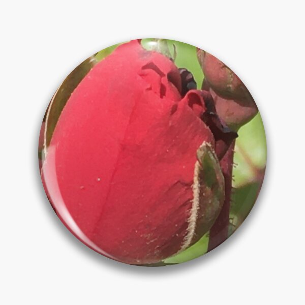 Item preview, Rose Buds 2 designed and sold by KimSyOk.