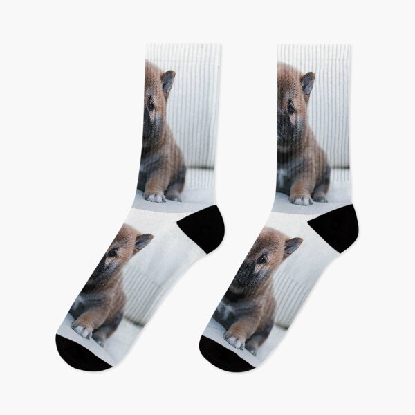 Item preview, Fluffy Shiba Inu designed and sold by LydiasPlace.