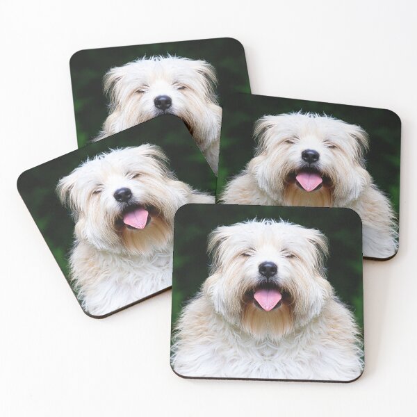 Item preview, Cute wheaten terrier dog smiling outside showing tongue breed friendship white hair designed and sold by Dolphin Graphic.
