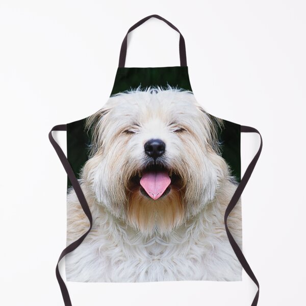 Item preview, Cute wheaten terrier dog smiling outside showing tongue breed friendship white hair designed and sold by Dolphin Graphic.