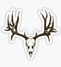 Mule deer skull Sticker