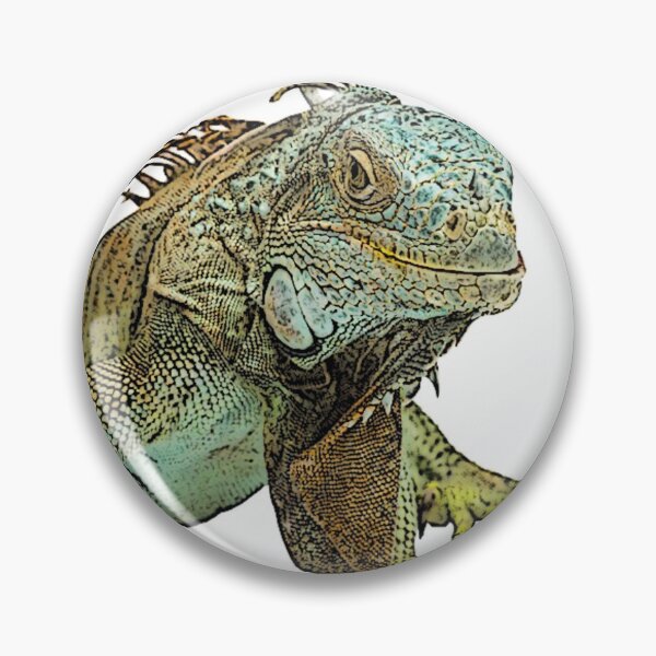 Item preview, Graphic Iguana designed and sold by EvieVictoria.