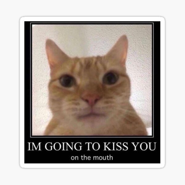 I Am Going To Kiss You Cat Sticker By Conspiracy0 Redbubble