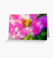 Cosmea .... Greeting Card