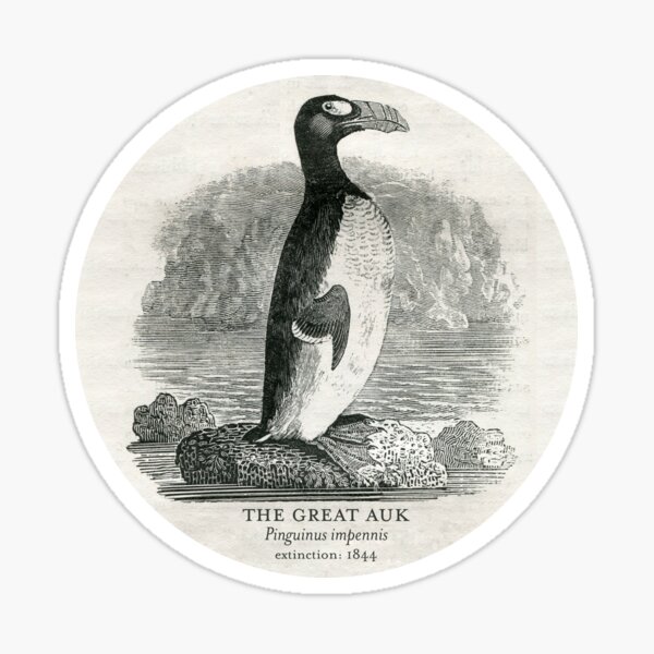 Item preview, The Great Auk (Extinct Animals Series) designed and sold by tinyflyinggoats.