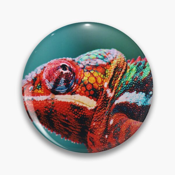 Item preview, Chameleon in Technicolour designed and sold by EvieVictoria.