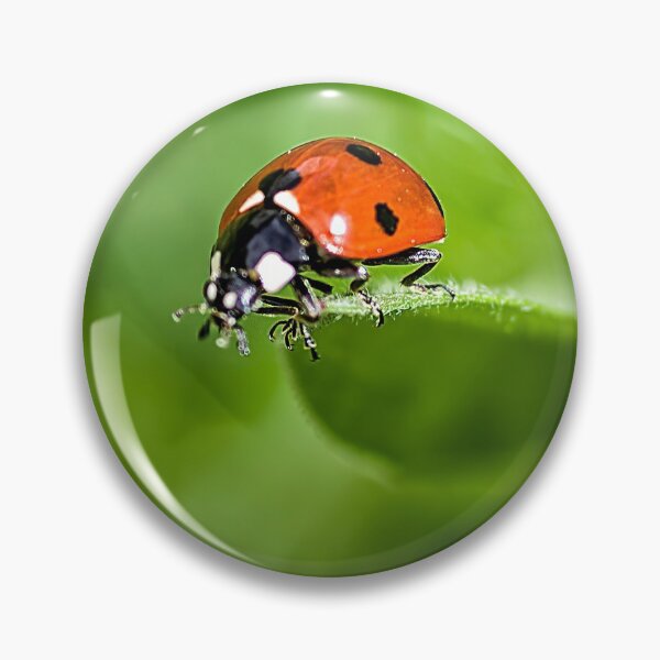 Item preview, Ladybug on the Edge designed and sold by Shelly Gunderson.