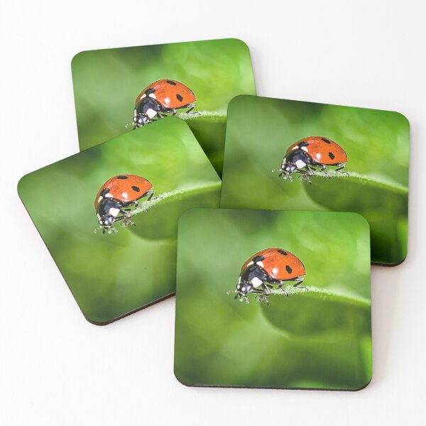 Item preview, Ladybug on the Edge designed and sold by Shelly Gunderson.