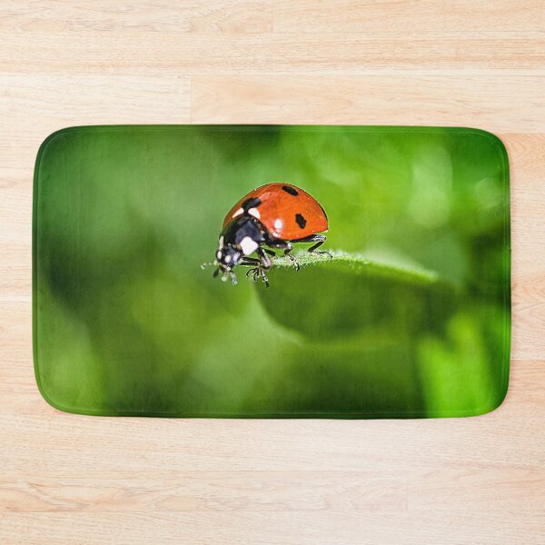 Item preview, Ladybug on the Edge designed and sold by Shelly Gunderson.