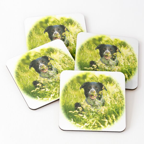 Item preview, Sprollie dog photo designed and sold by bdws.