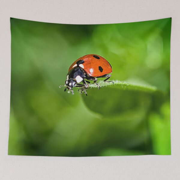 Item preview, Ladybug on the Edge designed and sold by Shelly Gunderson.