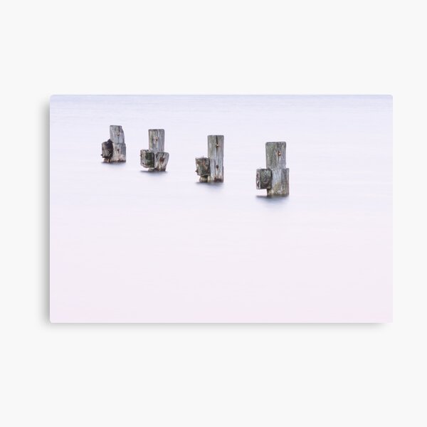 Four Canvas Print