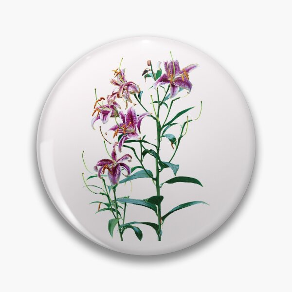 Item preview, Stargazer Lily Plants designed and sold by Susan Savad.