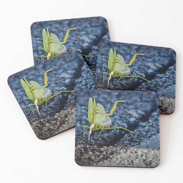 Item preview, He Went That Way designed and sold by Shelly Gunderson.