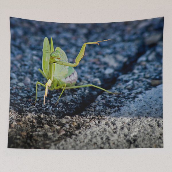 Item preview, He Went That Way designed and sold by Shelly Gunderson.