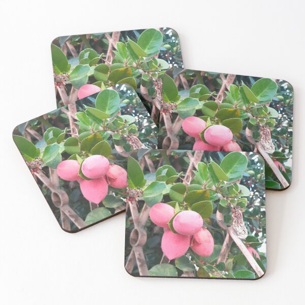 Item preview, Carissa berries  designed and sold by lealey19.