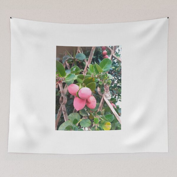 Item preview, Carissa berries  designed and sold by lealey19.