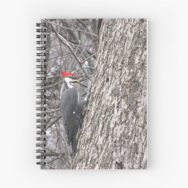 Item preview, Piliated Woodpecker designed and sold by caybeach.