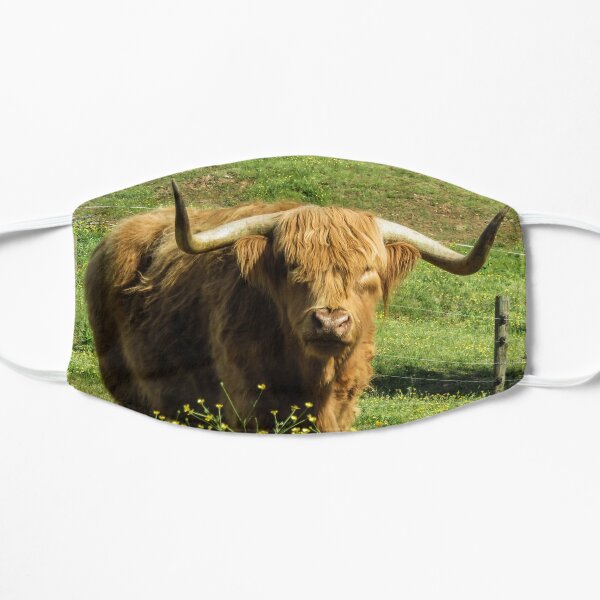 Buttercup Buddy Flat Mask