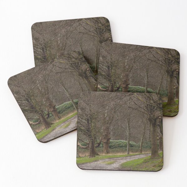 Item preview, Pathway through trees designed and sold by Jenny Burrows.