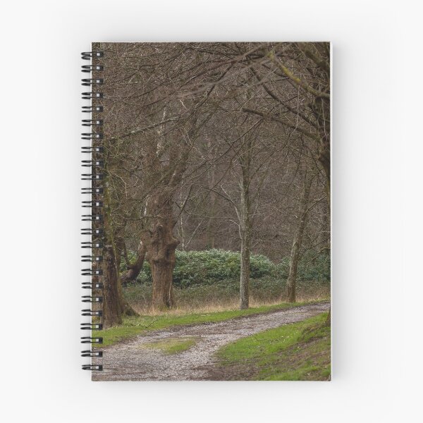 Item preview, Pathway through trees designed and sold by Jenny Burrows.