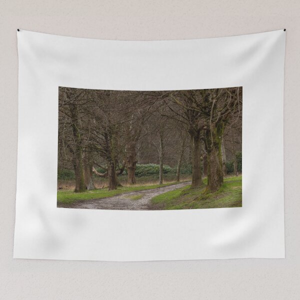 Item preview, Pathway through trees designed and sold by Jenny Burrows.