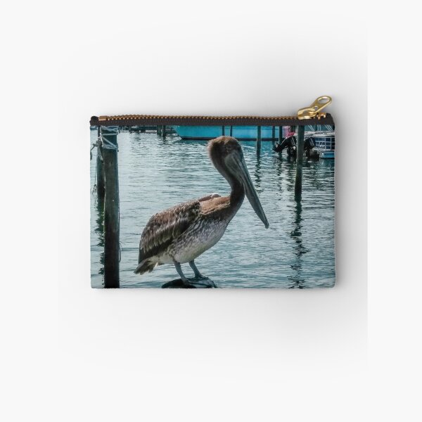 Item preview, Pelicans Of Florida designed and sold by SoulHeart.