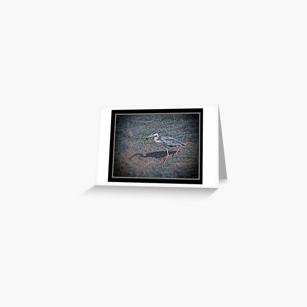 Frog & Heron Greeting Card