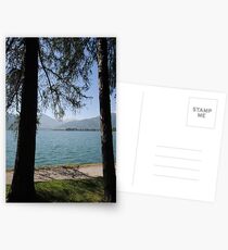 Zell Am See: Lake Through Trees Postcards