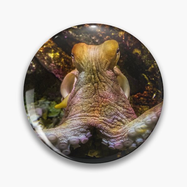 Item preview, Octopus - Deep Underwater designed and sold by BritishYank.