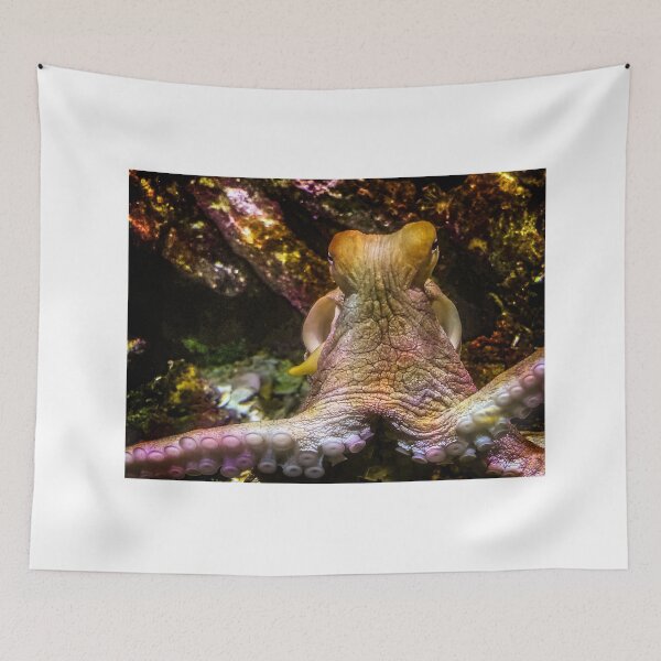 Item preview, Octopus - Deep Underwater designed and sold by BritishYank.