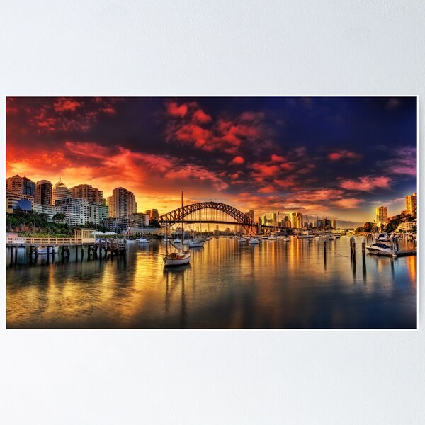 Lavender Bay Sunrise - Panorama Poster