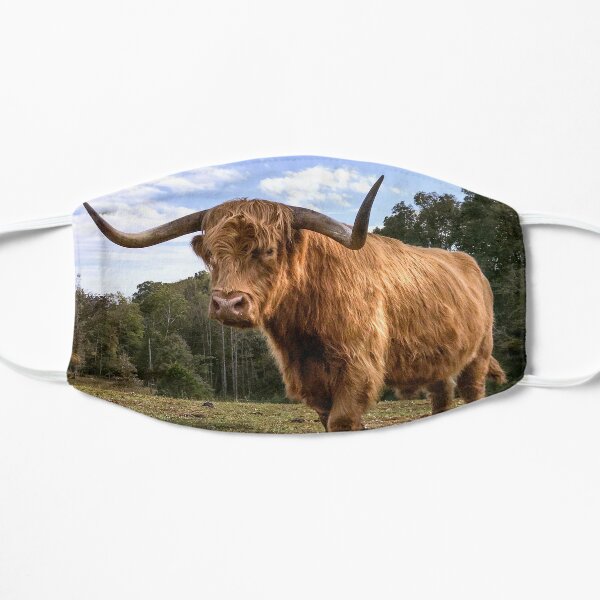 Majestic Mask