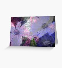 Cosmea .... in Blue Greeting Card