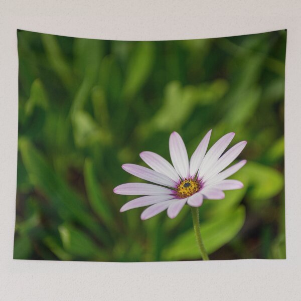 Item preview, Pink African daisy designed and sold by iCimages.net.